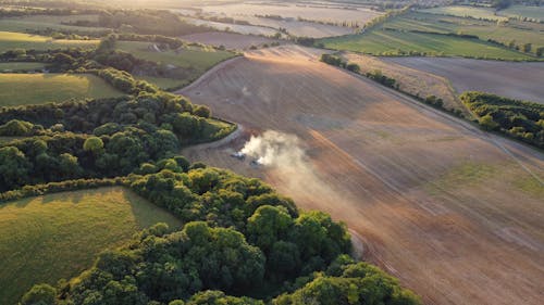 Aerial View of Trees and Grass Field 