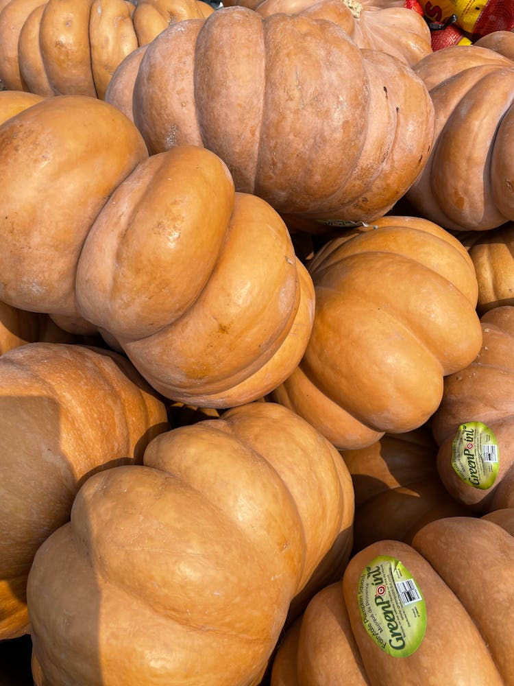 Close Up Photo Of Stack Of Squash 