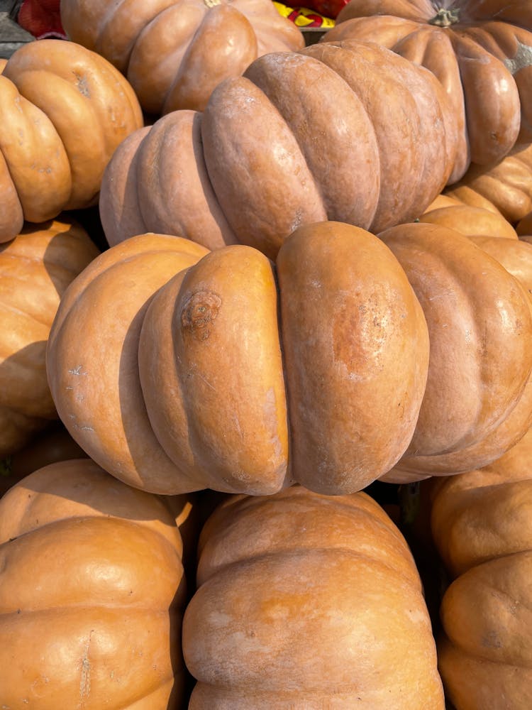 
Close Up Photo Of Stack Of Squash