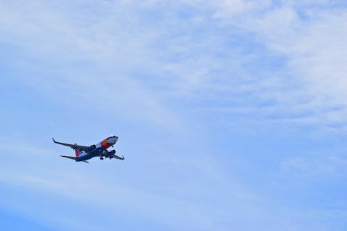 Free Plane In The Sky Stock Photo