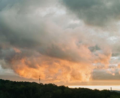 Gratuit Imagine de stoc gratuită din arbori, cer cu nori, cer impresionant Fotografie de stoc