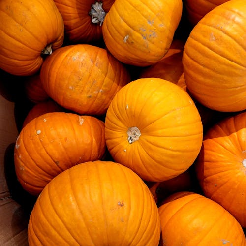 Orange Pumpkins 