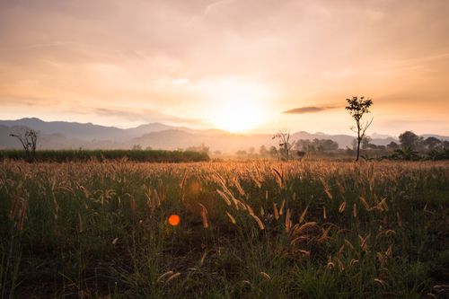 Free Peaceful sunrise over a grassland field with distant mountains, creating a serene and tranquil ambiance. Stock Photo