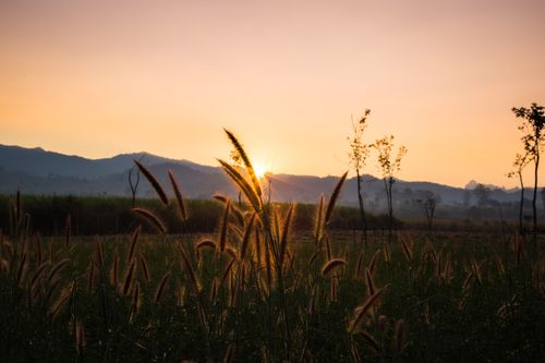 Free Peaceful sunset view over grassy farmland with silhouetted mountains in the background. Stock Photo