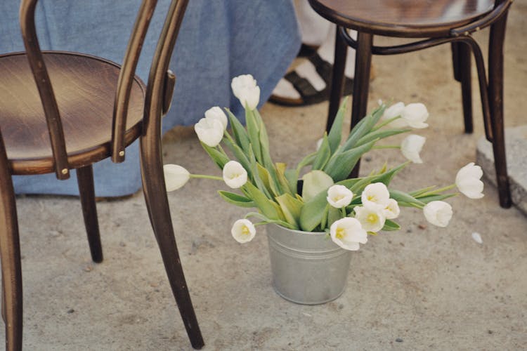 White Tulip Flowers In Metal Bucket