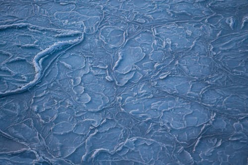 Бесплатное стоковое фото с зима, лед, мороз