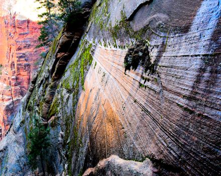 Magnificent steep rock face grown with green moss with rough canyon wall in background