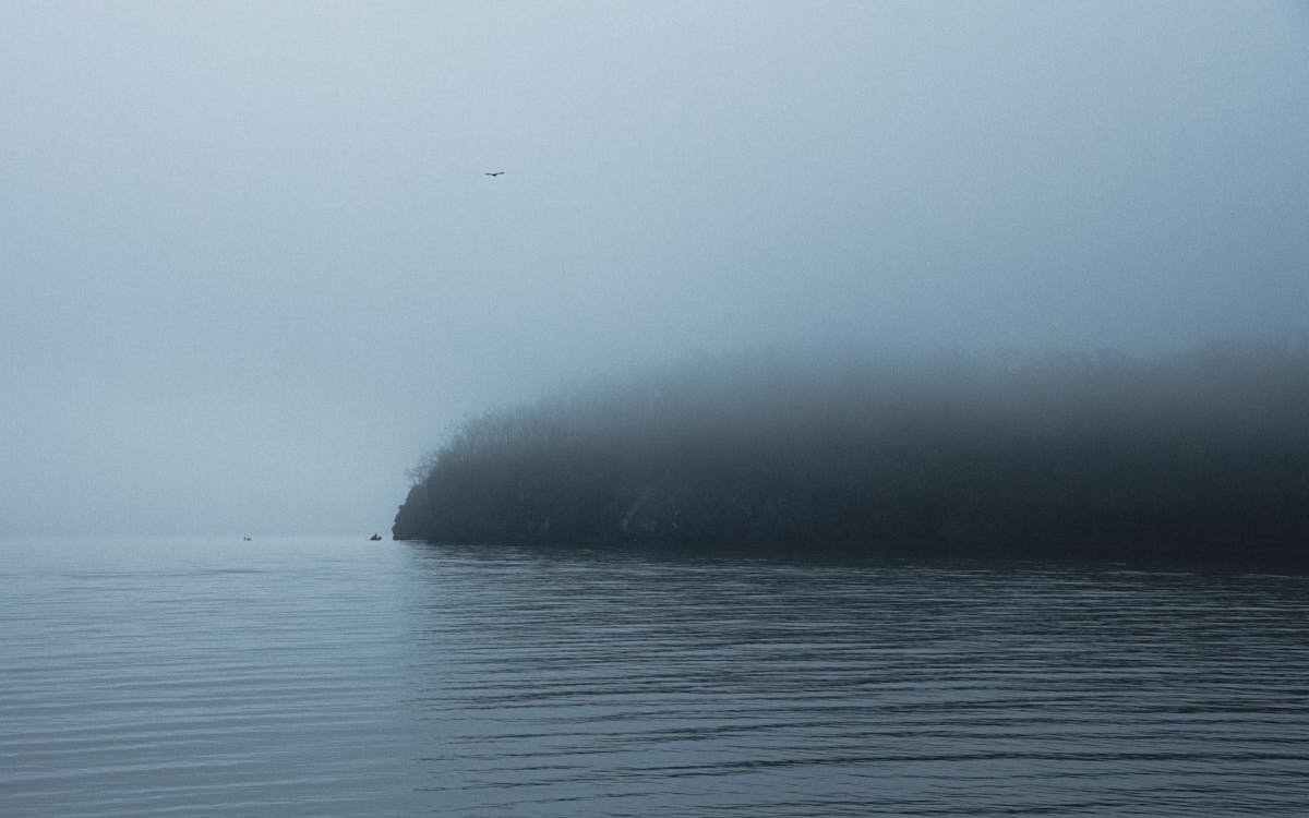 Darmowe zdjęcie z galerii z gęsty, krajobraz, mgła