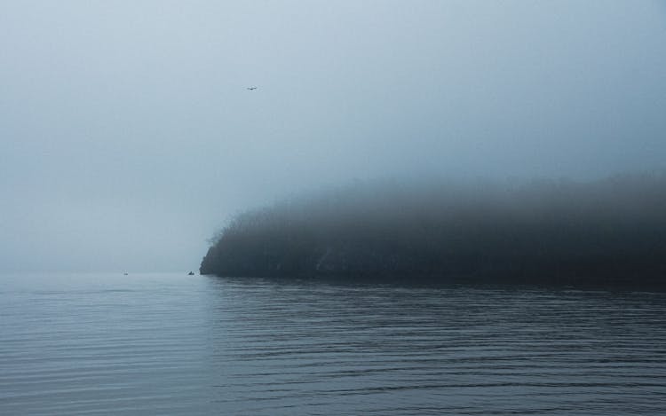 Dense Fog Over A Coast 