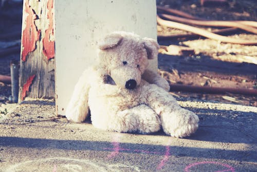 Free stock photo of teddy bear Stock Photo