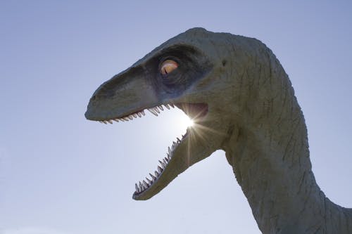 Kostenloses Stock Foto zu dinosaurier, sonne, statue
