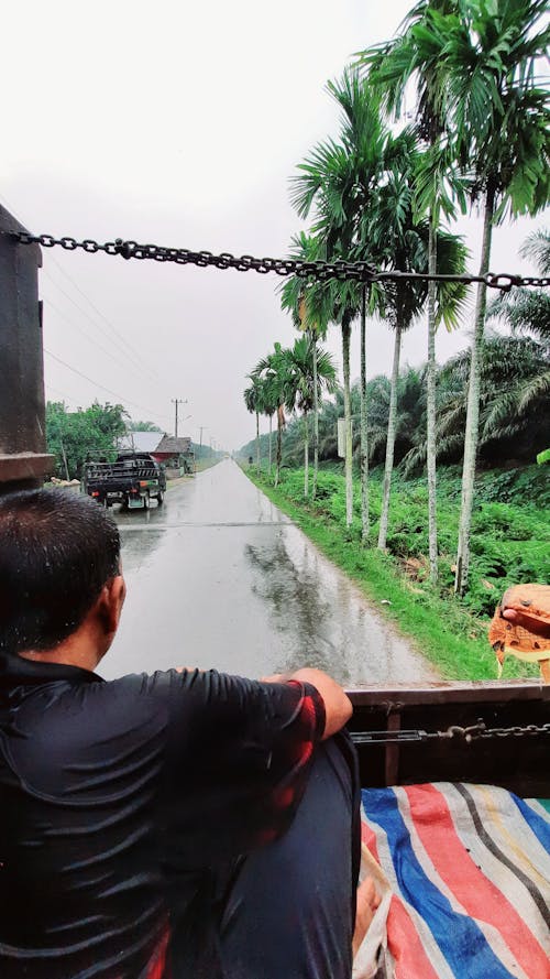 Základová fotografie zdarma na téma déšť, nákladní vlak, po dešti