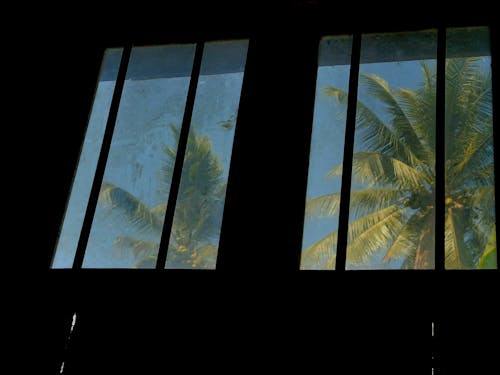 Základová fotografie zdarma na téma okenní rám, okenní sklo, okno okna