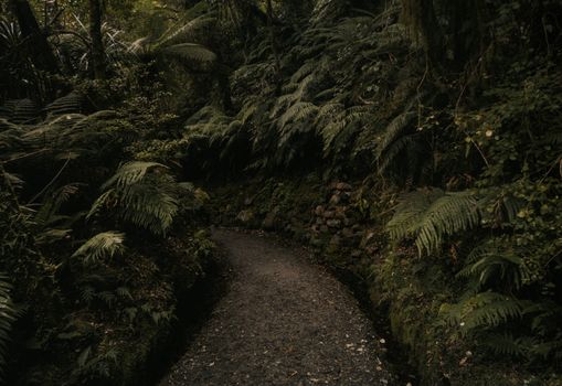 Waitomo glowworm caves day — Rotorua