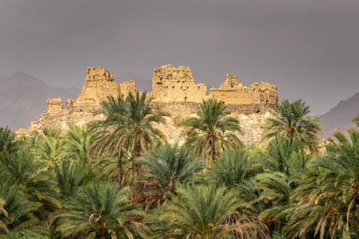 Explore the stunning view of ancient castle ruins surrounded by lush palm trees against a dramatic sky in Oman.