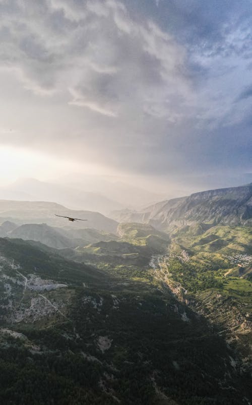 Foto d'estoc gratuïta de camp, foto aèria, fotografia de natura