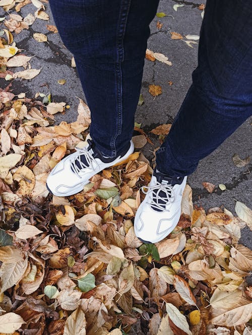Gratis Fotos de stock gratuitas de calzado, fotos con gran angular, hojas caídas Foto de stock