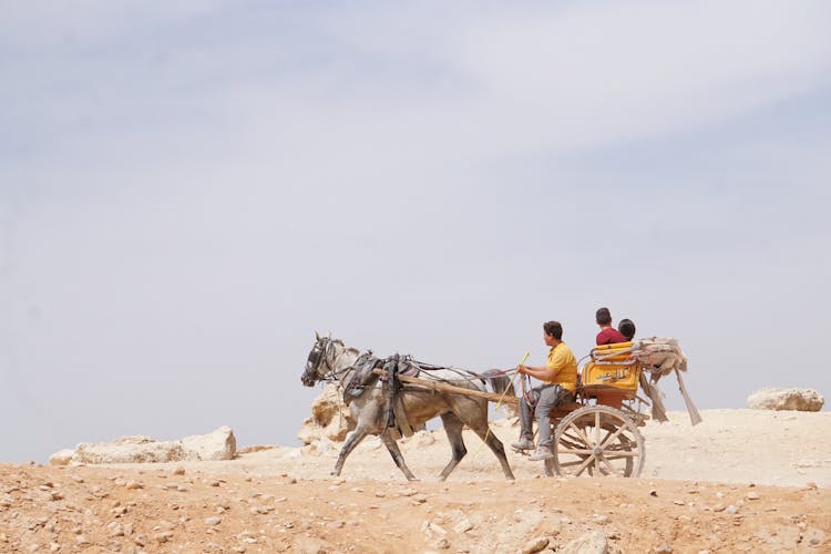 People Riding A Horse Drawn Cart