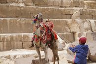 A boy pulling a decorated camel's leash at a stone step site during the day.