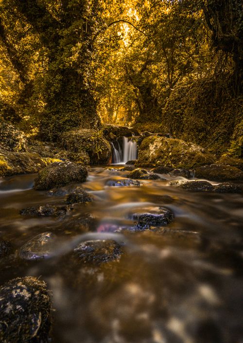 Free Tranquil waterfall flowing through a scenic autumn forest, with vibrant foliage and smooth stones. Stock Photo