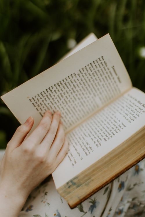 Free A close-up of a hand holding an open book outdoors with blurred green background. Stock Photo