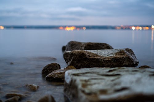 Free stock photo of blue, brown, calm