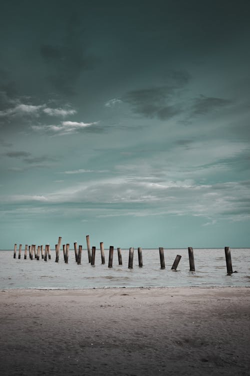 Δωρεάν στοκ φωτογραφιών με groynes, ακτή, άμμος Φωτογραφία από στοκ φωτογραφιών