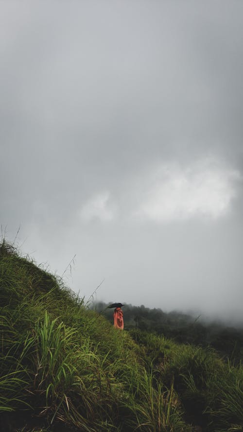 Person Holding Umbrella on Near Green Mountains 