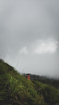 A person with an umbrella stands amidst green grass on a misty mountain slope under cloudy skies.