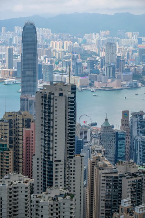 Free Aerial View of Hong Kong Stock Photo