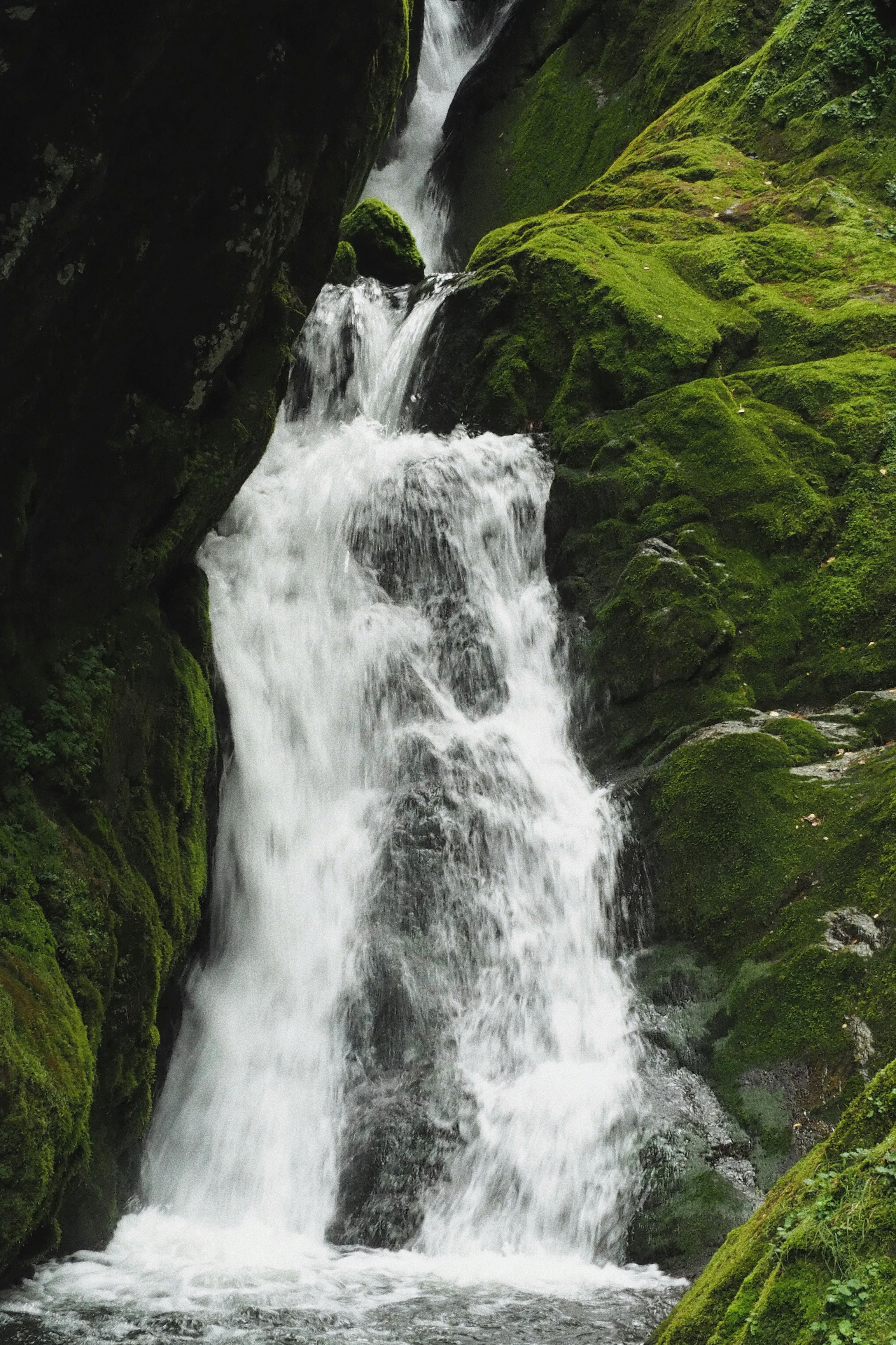 Serene waterfall cascading over moss-covered rocks in a tranquil forest setting.