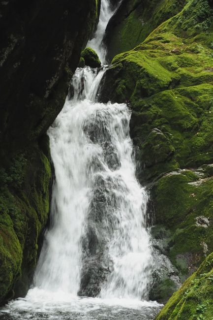 Serene waterfall cascading over moss-covered rocks in a tranquil forest setting.