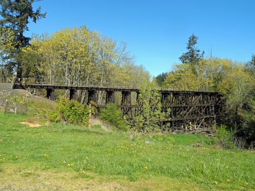 Free stock photo of train track trestle bridge