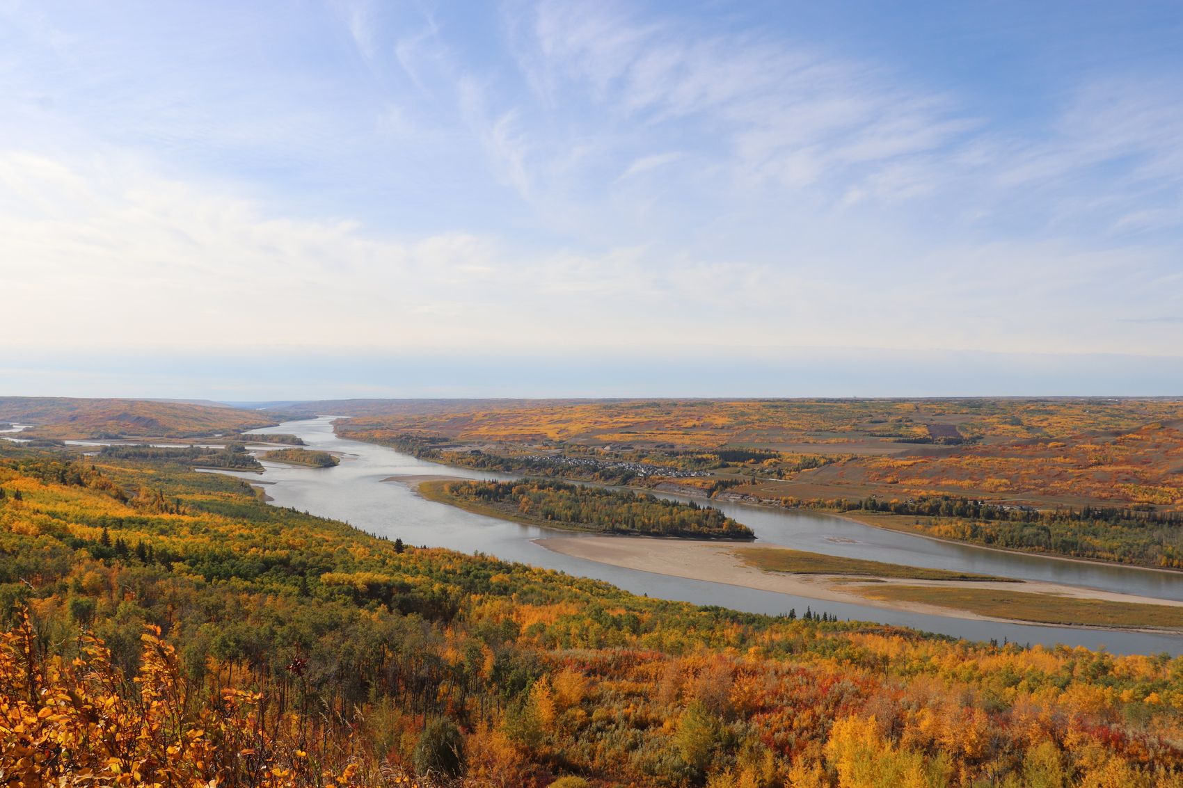 Sweet Northern Flavours: A Guide to Yukon’s Wild Berries