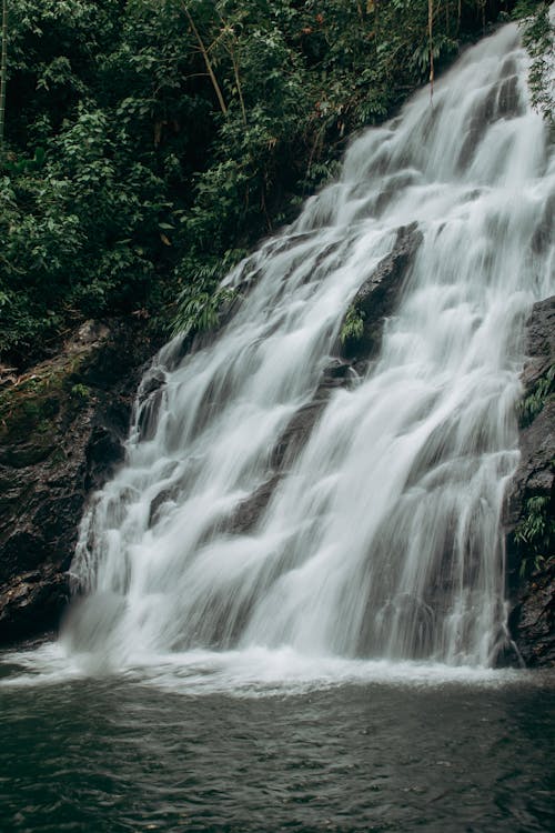 Fotos de stock gratuitas de agua, bosque, cascadas