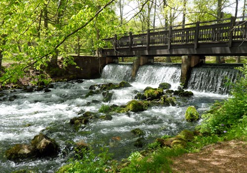 Free stock photo of stream with small footbridge