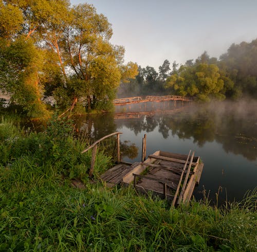 Безкоштовне стокове фото на тему «вода, дерев’яний, дерева»