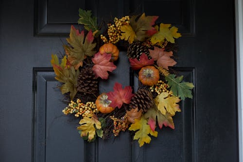 Free stock photo of autumn, autumn colors, autumn leaves
