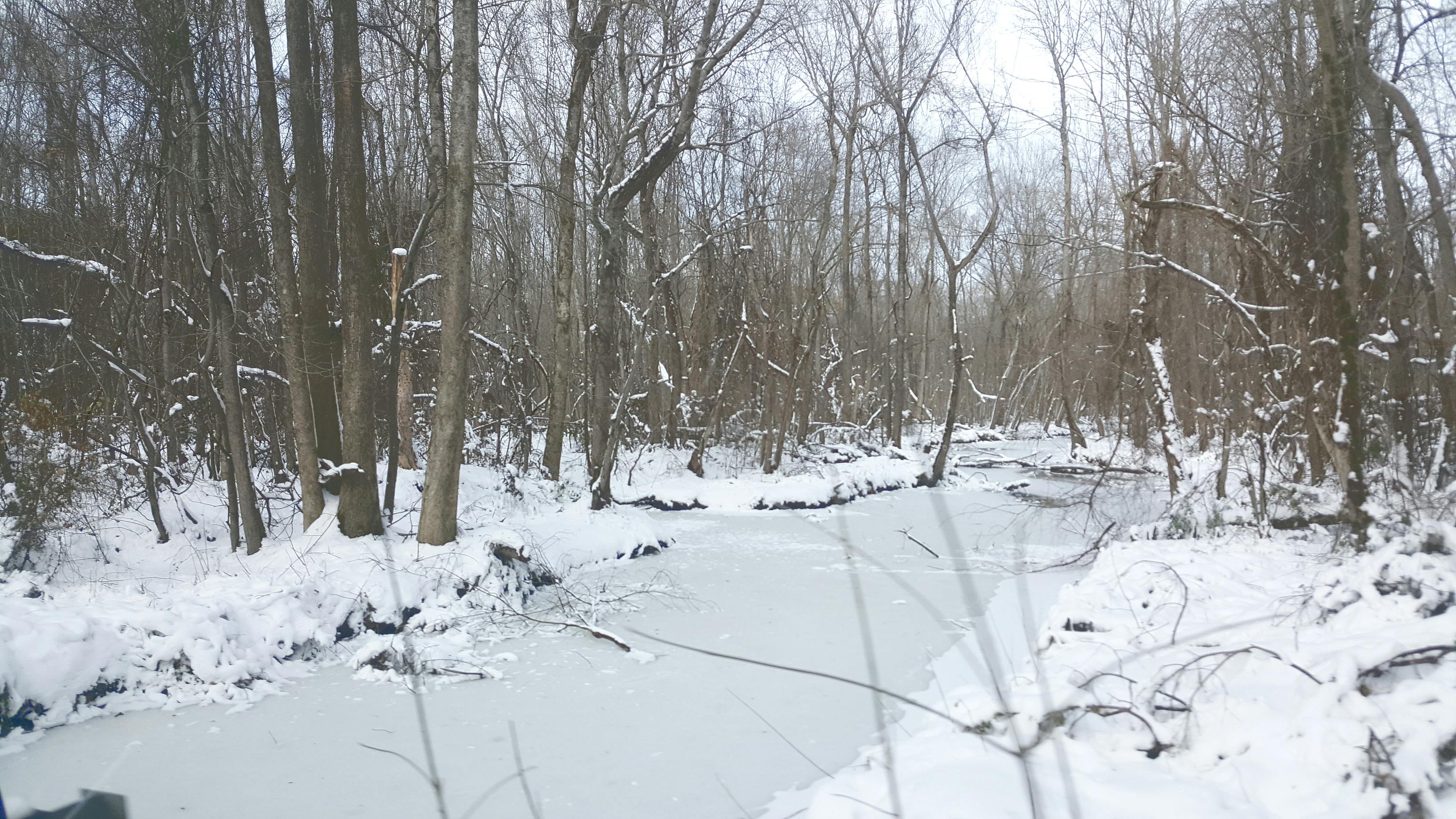 free-stock-photo-of-frozen-lake-snow-snowy-lake