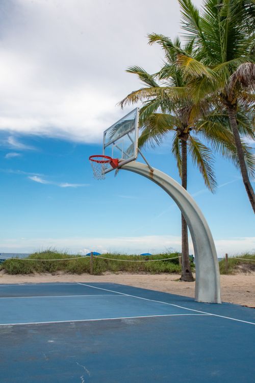 Free A tranquil basketball court by the beach with palm trees under a clear sky. Stock Photo