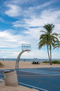 Scenic beachside basketball court with palm trees and ocean view under a blue sky.