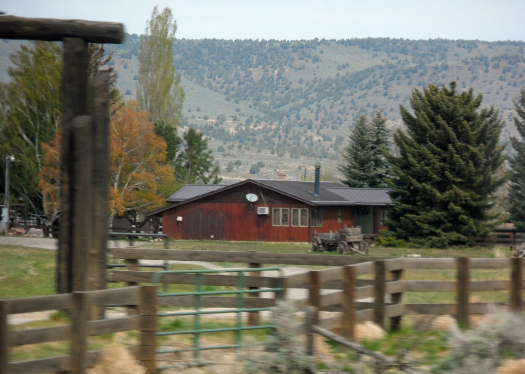 Free stock photo of house on the range