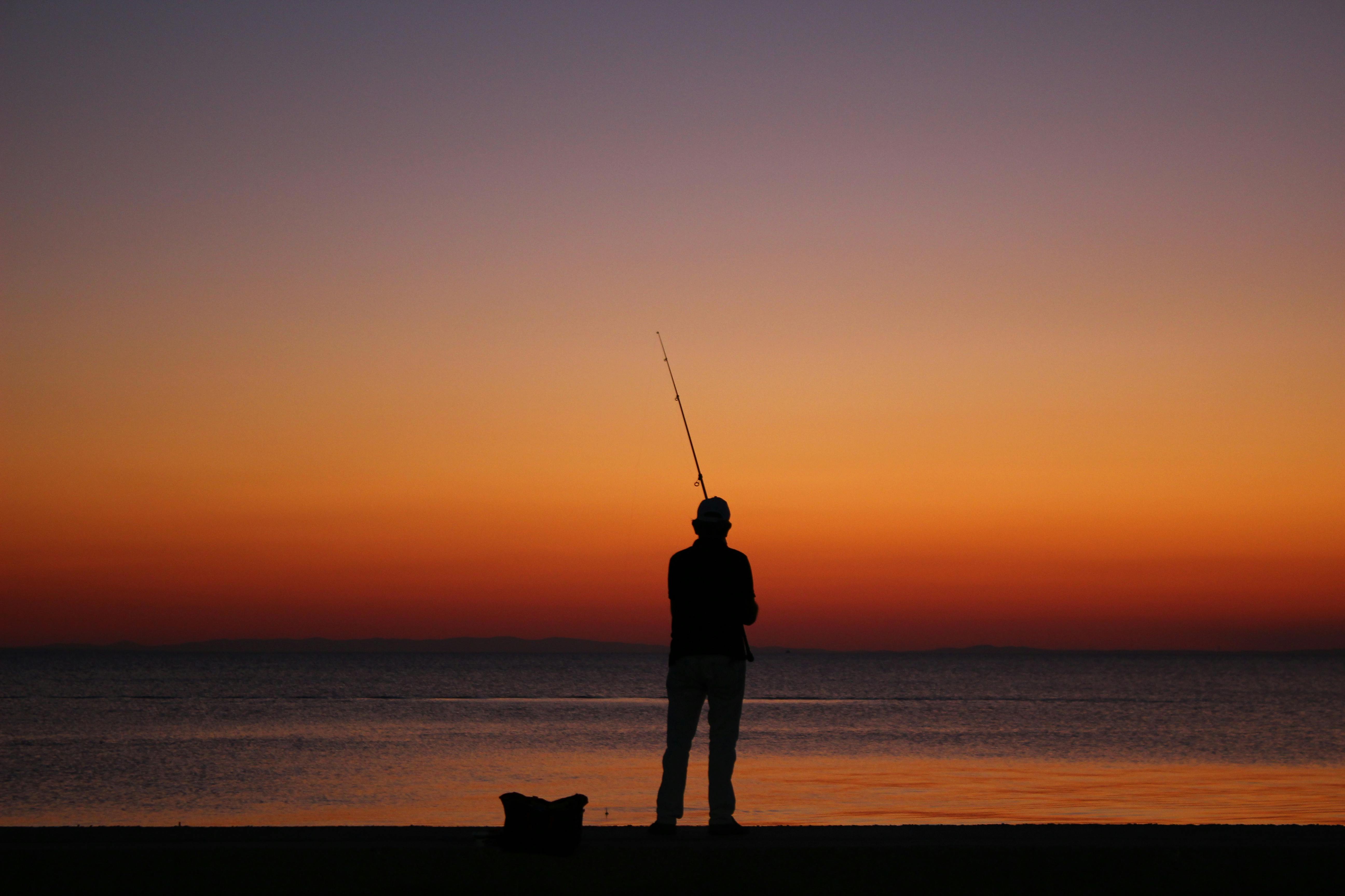 Back View of a Man Fishing in the Sea at Sunset · Free Stock Photo
