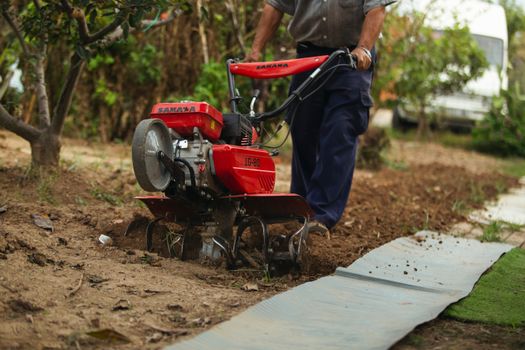 Free stock photo of action, adult, agricultural land