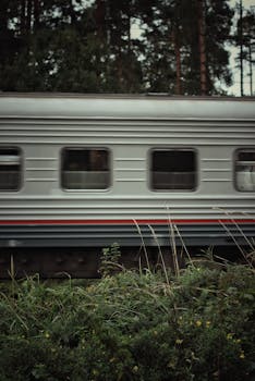 Blurred motion of a train passing through a dense forest, captured at high speed.