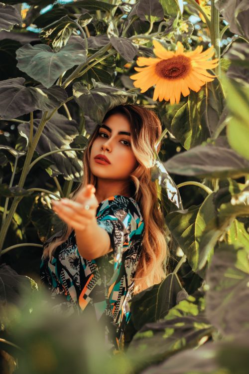 Free A beautiful woman reaches out surrounded by vibrant sunflowers on a sunny day. Stock Photo