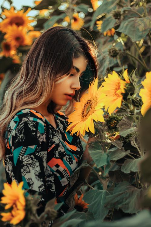Free Young woman with wavy hair enjoying the fragrance of sunflowers in a vibrant summer field. Stock Photo