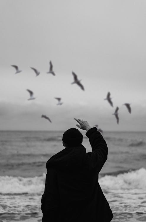 Free Person in Black Jacket Standing Near the Seashore   Stock Photo