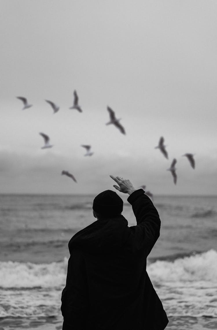 Person In Black Jacket Standing Near The Seashore  