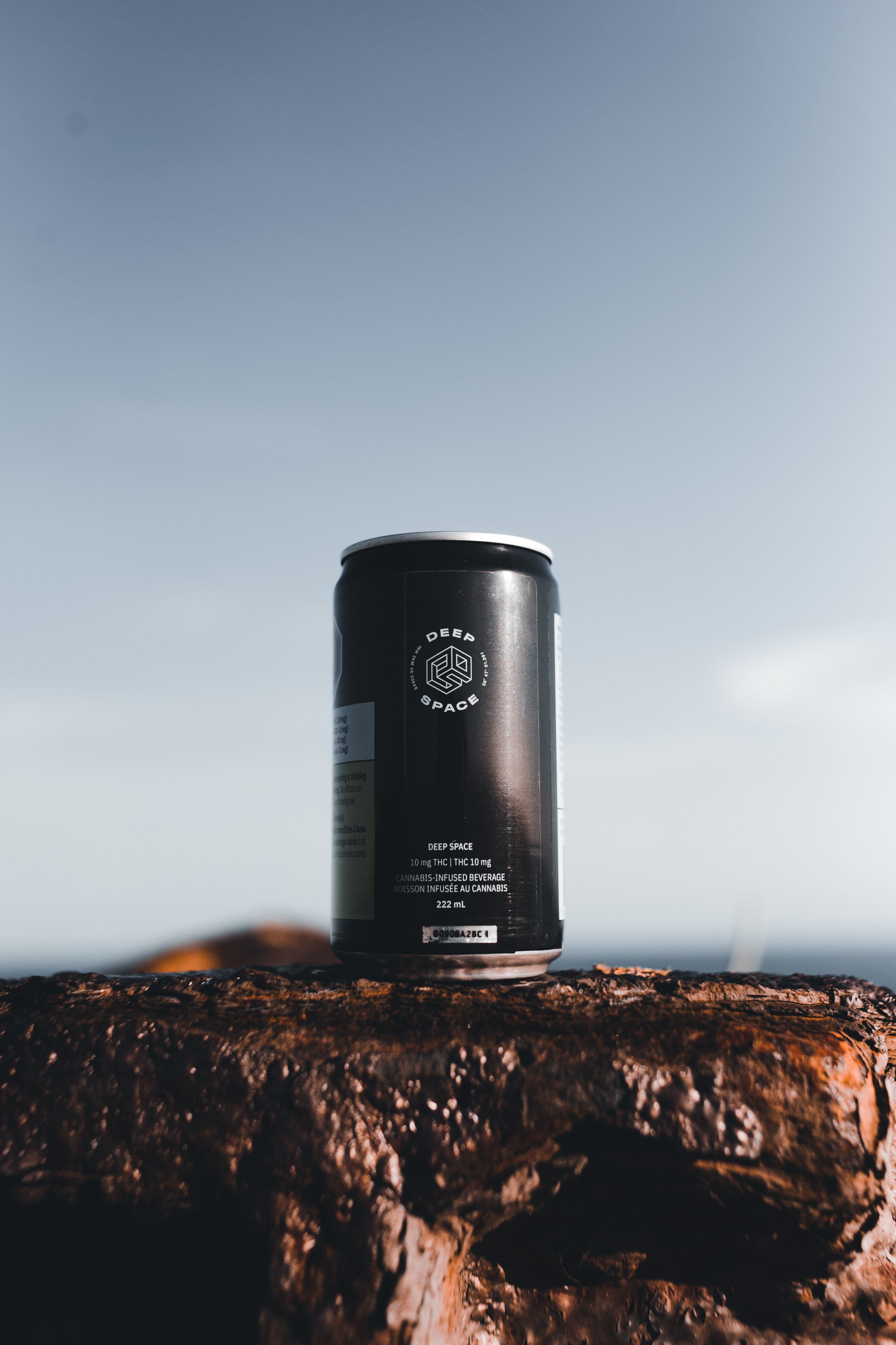 Black Can on the Rock · Free Stock Photo